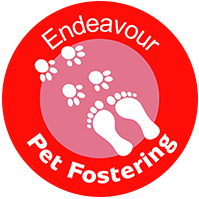 Pet Fostering | Volunteers / Carers living in the North West