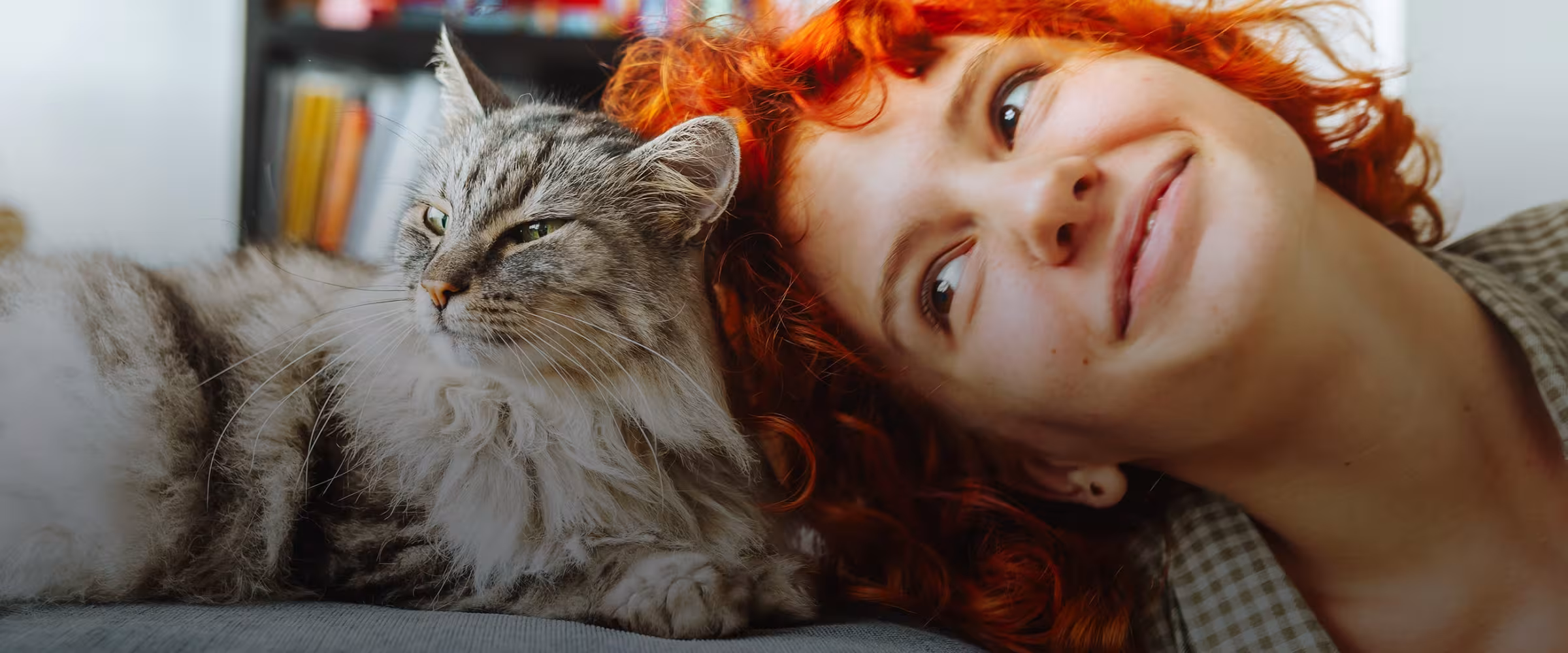 We provide a range of domestic abuse services for people and their pets.