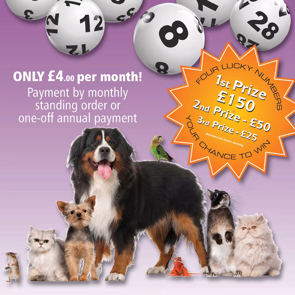 Paws Lottery - Better odds than the National Lottery